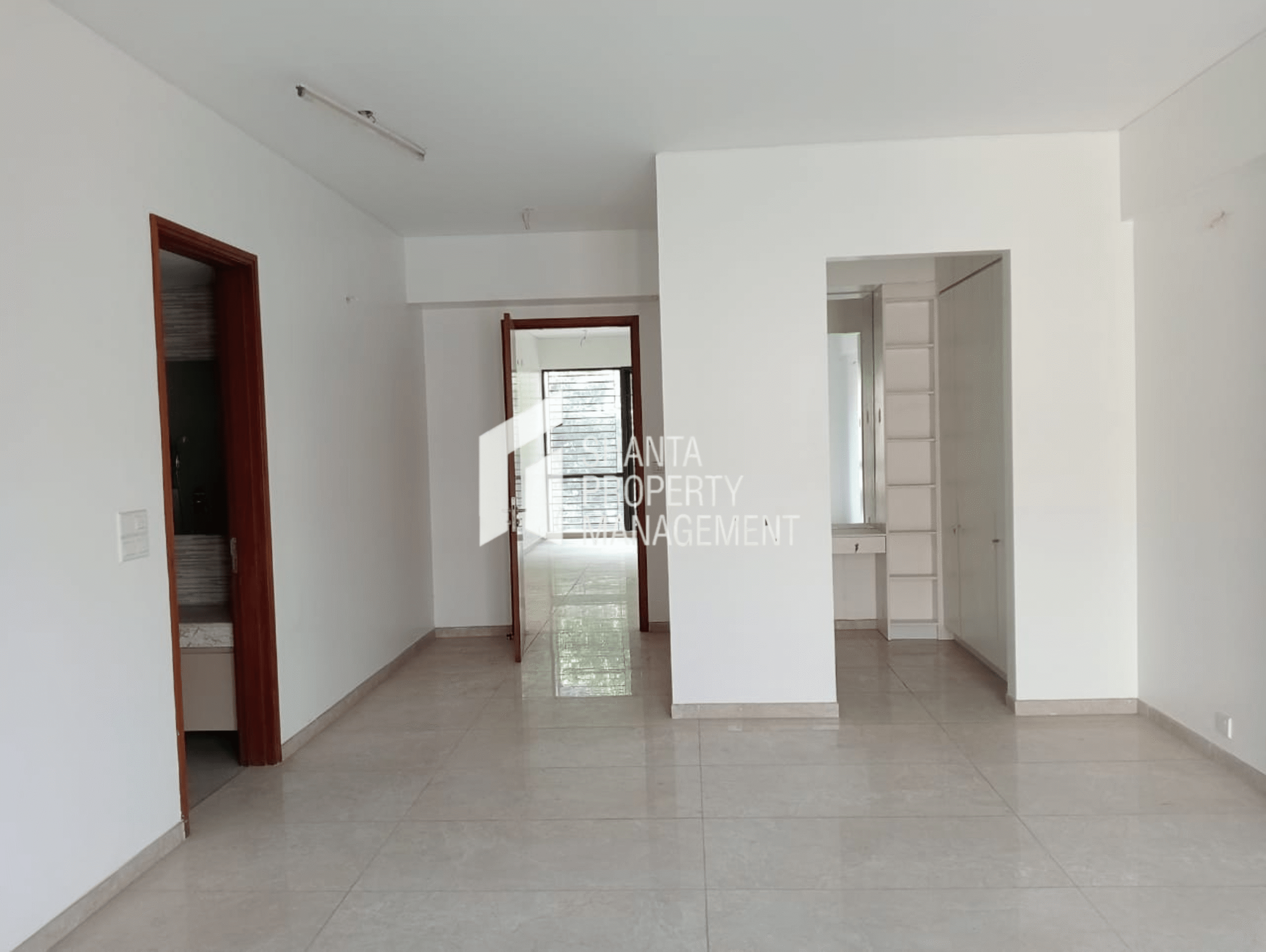 Northern Lights Detail 4