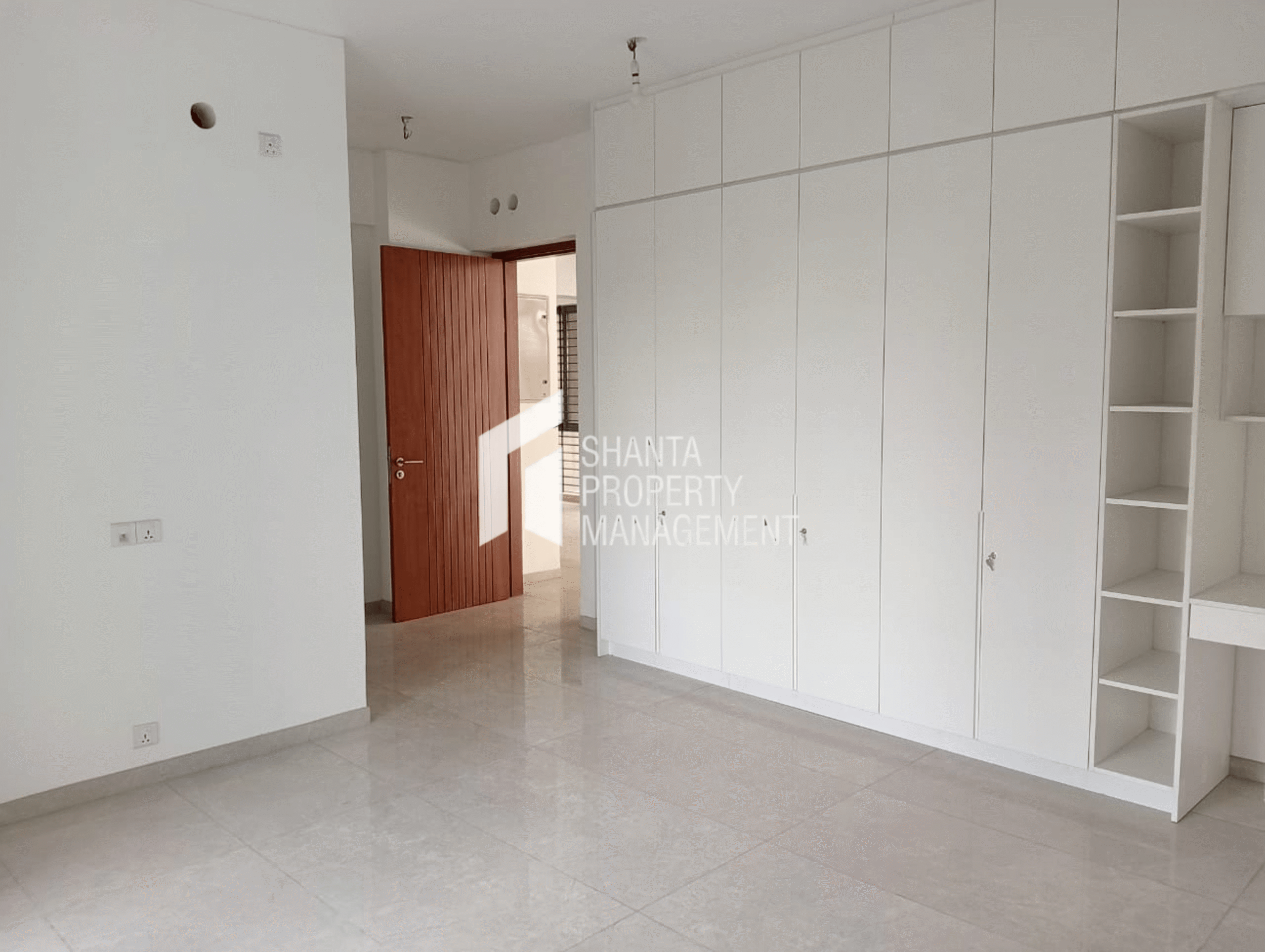 Northern Lights Detail 5